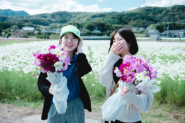 約2,500万本のコスモスがお出迎え!西日本最大級の規模「三光コスモス園」