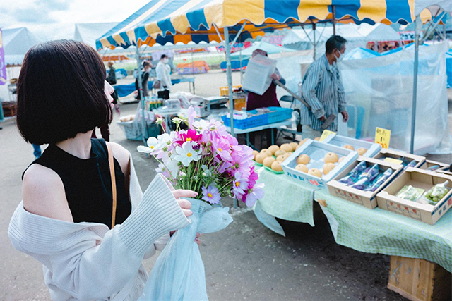 約2,500万本のコスモスがお出迎え!西日本最大級の規模「三光コスモス園」