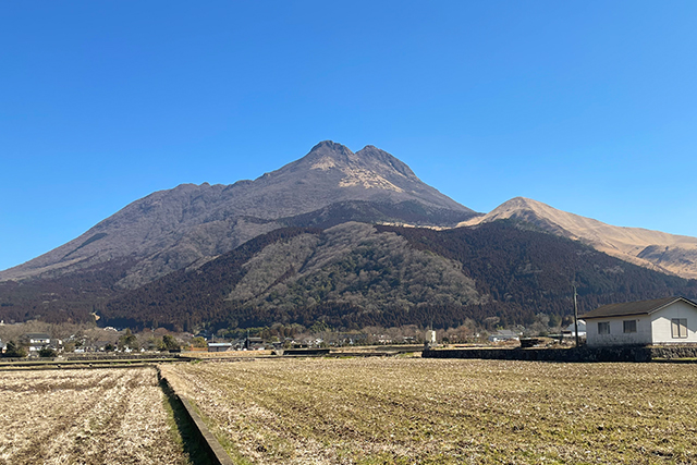 ゆふいんブランチ 湯布院千家 由布岳