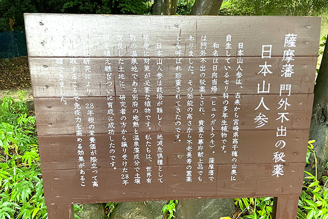 森藩別邸