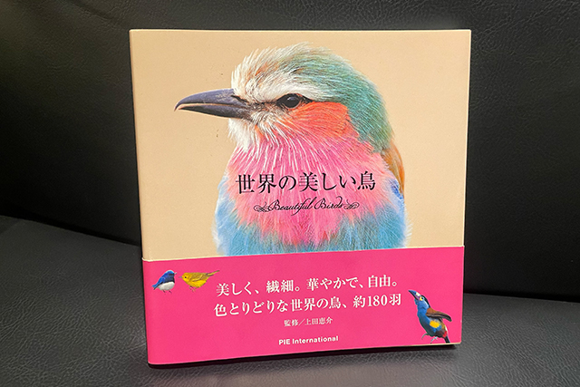 書肆ゲンシシャ