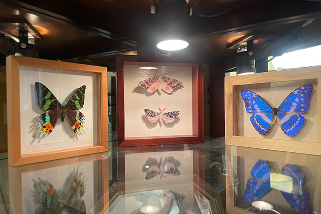 書肆ゲンシシャ