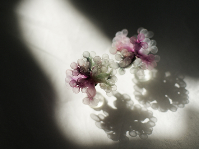 毎日を豊かに。カジュアルにアートを楽しもう「文ヶ学」