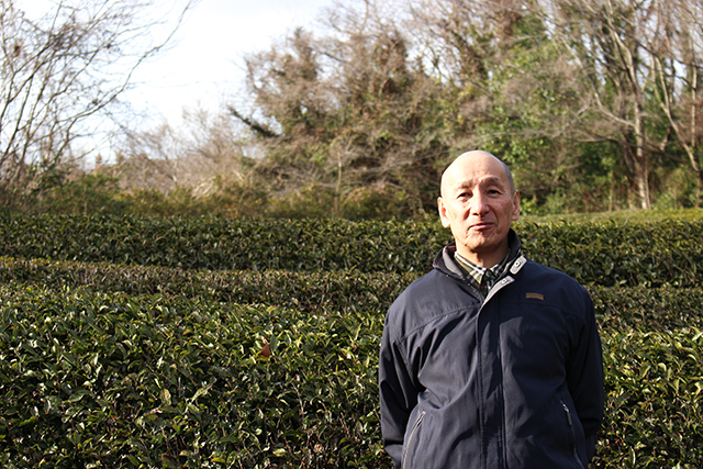 真心を込めて、茶どころ杵築からお届け幻の国産紅茶「きつき紅茶」