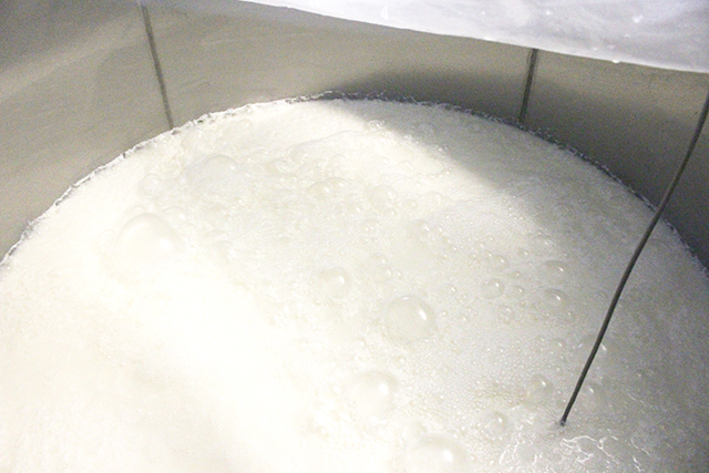 生まれ育った故郷で酒を醸す株式会社井上酒造