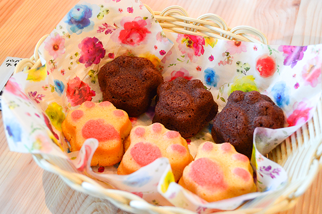 にゃんともかわいいスープカレー店♥ 保護猫カレー屋299(にくきゅう)