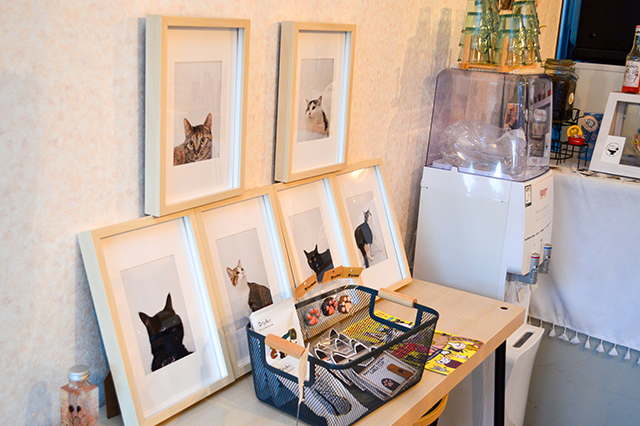 にゃんともかわいいスープカレー店♥ 保護猫カレー屋299(にくきゅう)