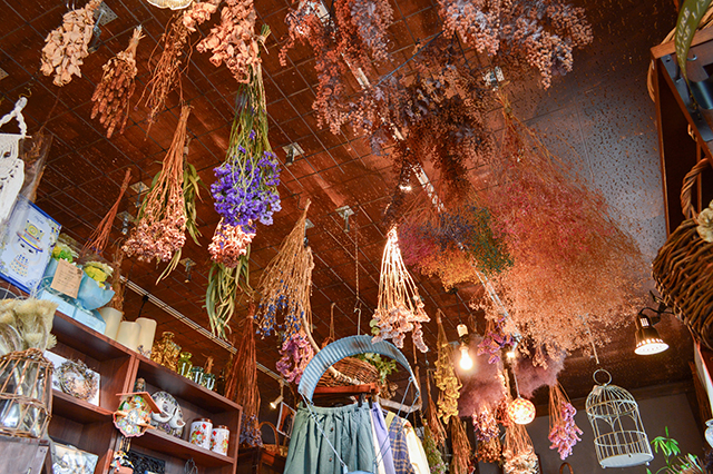 佐伯で“かわいい”を探すドライブへ「海辺の町 Blanche.」