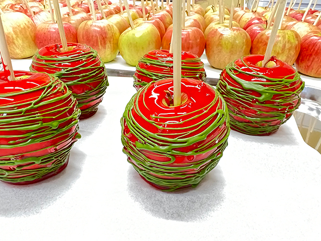 進化する“りんご飴”の世界。ホンモノの“りんご飴”を堪能しよう！「apple wave」