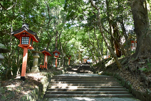 歴史をもっと身近に。宇佐神宮御鎮座1300年記念イベントを楽しもう！