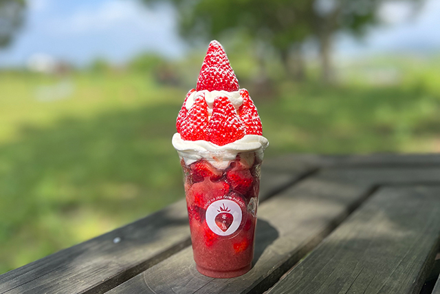 歴史をもっと身近に。宇佐神宮御鎮座1300年記念イベントを楽しもう！