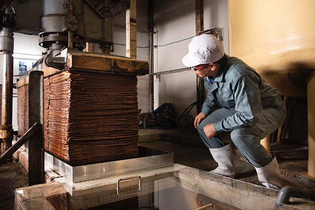 毎日の食卓をもっと豊かに。変わらぬ醤油造りを伝え続ける フジヨシ醤油株式会社
