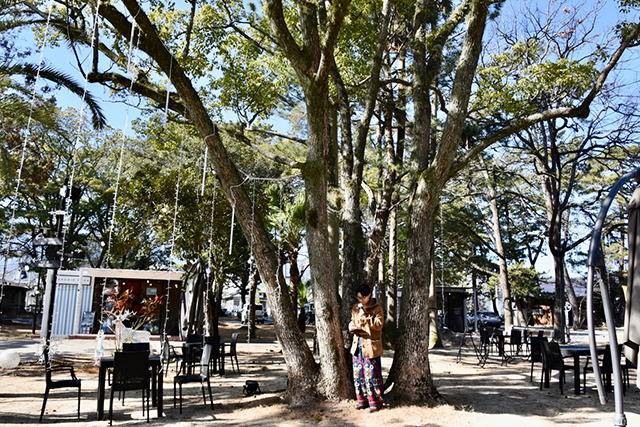 グルメも砂湯もリラックスも！新しい別府を楽しもう 「SHONIN PARK」