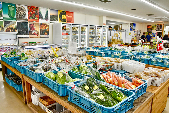 竹田の“おいしい”を見つけにいこう！ -道の駅すごう-