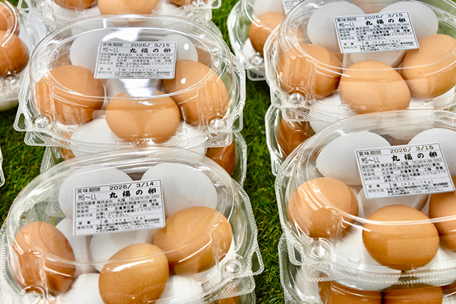 竹田の“おいしい”を見つけにいこう！ -道の駅すごう-