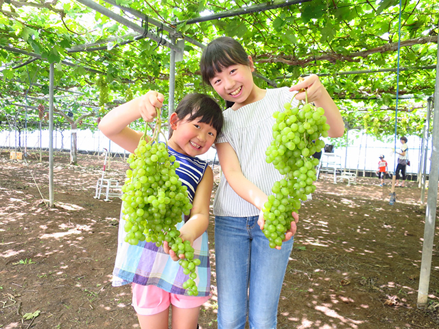遊べる、学べる、憩（いこ）える場所。大人気“るるパーク”へ出かけよう！