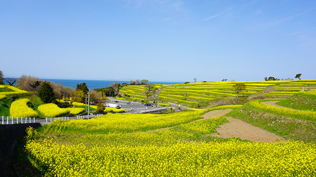 今日はどんな作品＝景色に出合える？ 豊後高田市「不均質な自然と人の美術館」へ