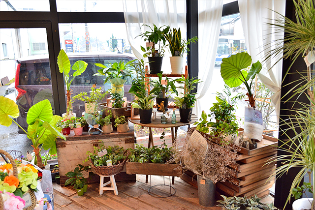 竹田　la vie en fleurs