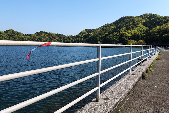 五感で感じる島時間-九州オルレ さいき・大入島-