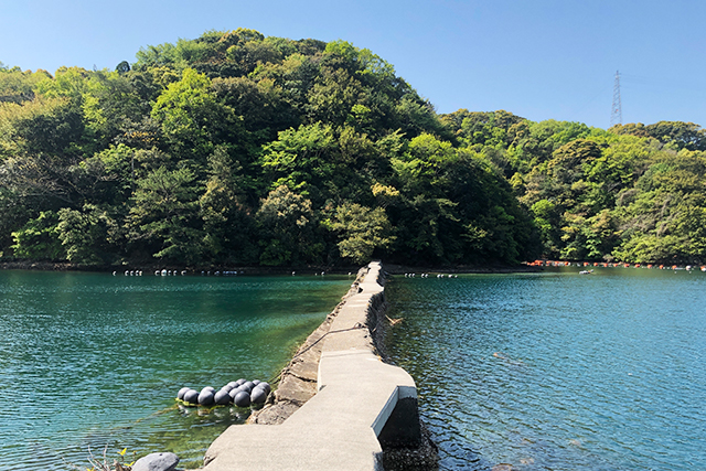 五感で感じる島時間-九州オルレ さいき・大入島-　舟隠（ふなかくし）