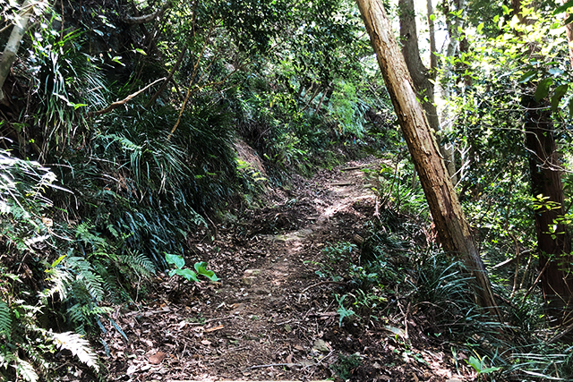 五感で感じる島時間-九州オルレ さいき・大入島-