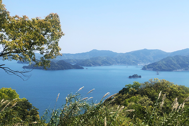 五感で感じる島時間-九州オルレ さいき・大入島-　遠見山展望所