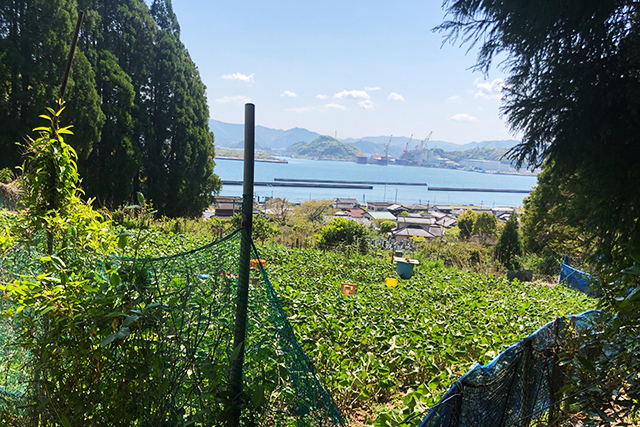 五感で感じる島時間-九州オルレ さいき・大入島-