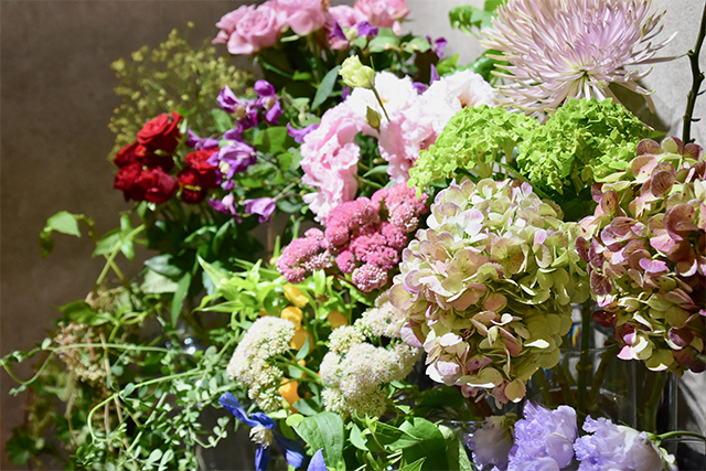 大学生が訪問！センス溢れるフラワーショップの正体とは？ Maison L’man（メゾンロマン）