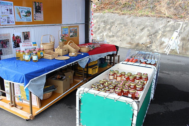 大学生と巡る！ 知られざる神秘的SPOT旅in宇佐 前編