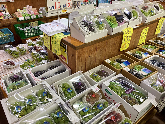 大学生と巡る！ 知られざる神秘的SPOT旅in宇佐 前編