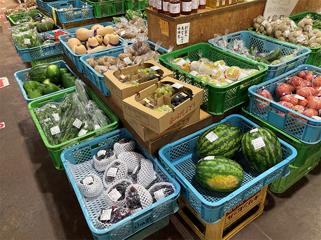 大学生と巡る！ 知られざる神秘的SPOT旅in宇佐 前編