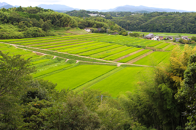 大学生と巡る！ 知られざる神秘的SPOT旅in宇佐 後編