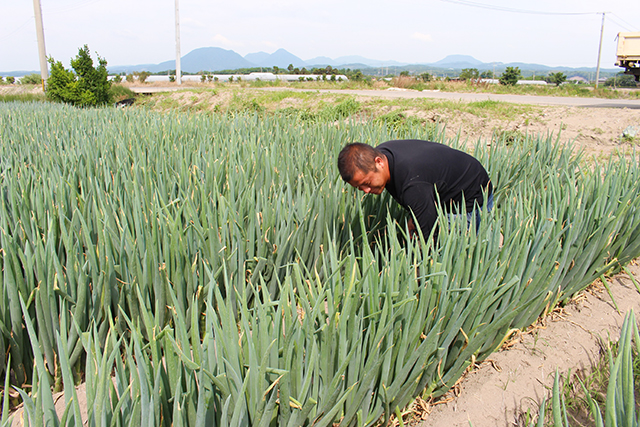 株式会社仲井農園