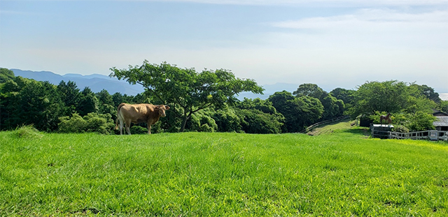 株式会社クラウン