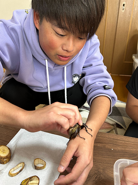 株式会社 Vitalize