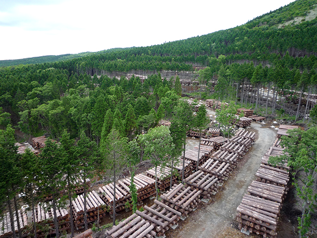 株式会社トライ・ウッド