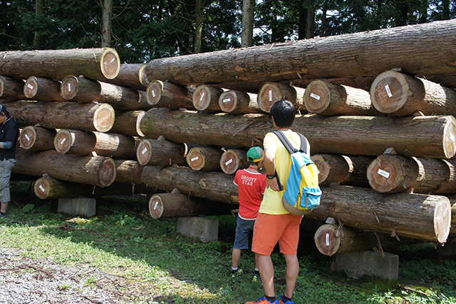 株式会社トライ・ウッド