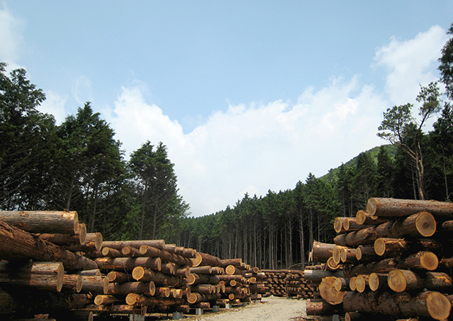 株式会社トライ・ウッド