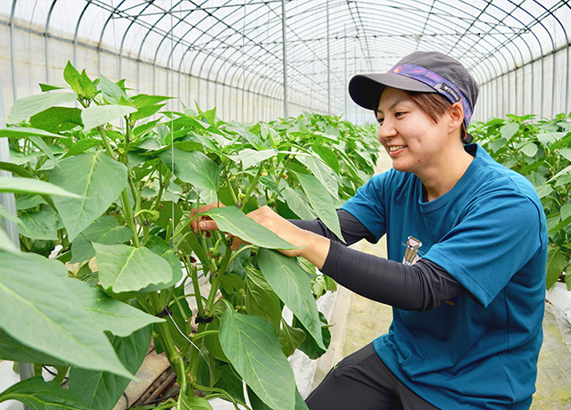 有限会社ベストクロップ