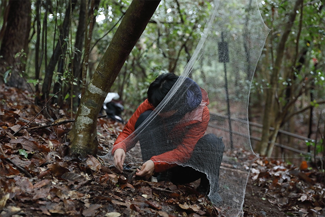 大分移住レポート”移住”ってどう？自分らしく暮らす移住ライフ