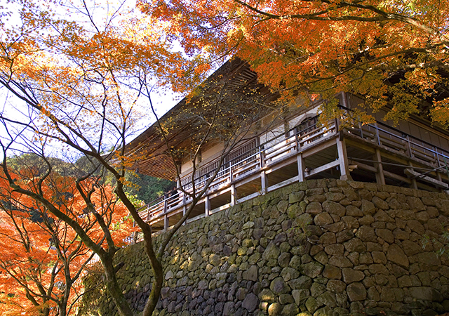 開山1300年 六郷満山 両子寺