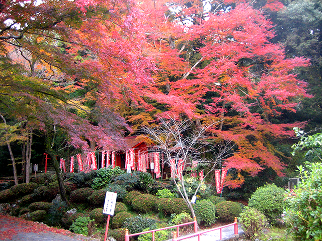 開山1300年 六郷満山 両子寺