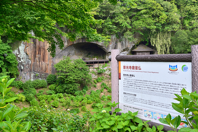 普光寺 紫陽花