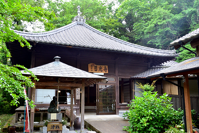普光寺 紫陽花