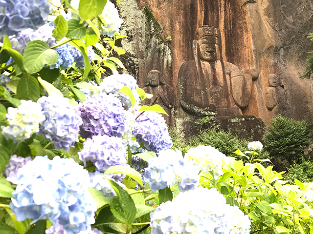 普光寺 紫陽花 磨崖仏