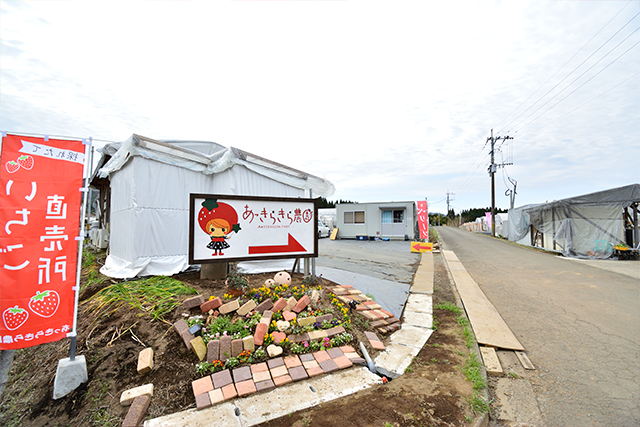 大分産まれのスイーツみたいな甘〜いいちご「ベリーツ」 あっきらきら農園