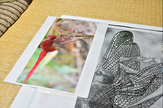 美しき“神業” 切り絵アートの世界