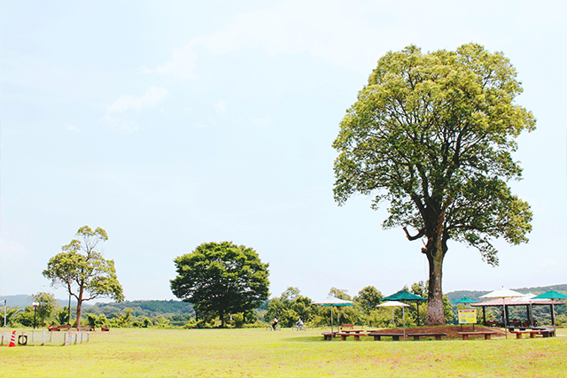 大分農業文化公園