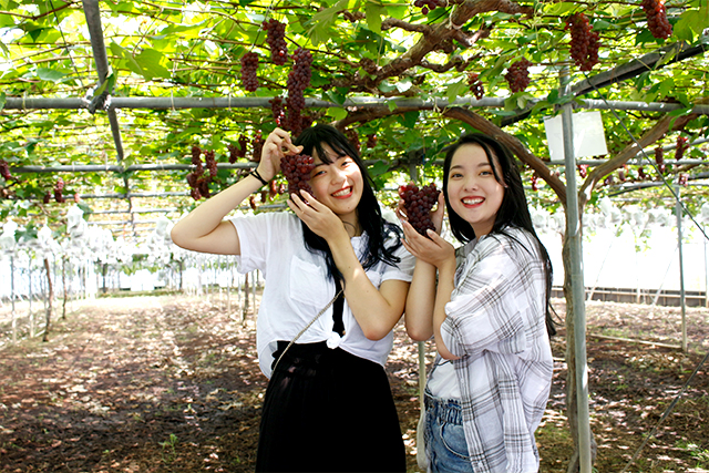 大分農業文化公園