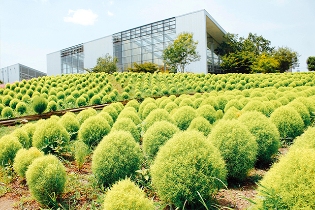 大分農業文化公園